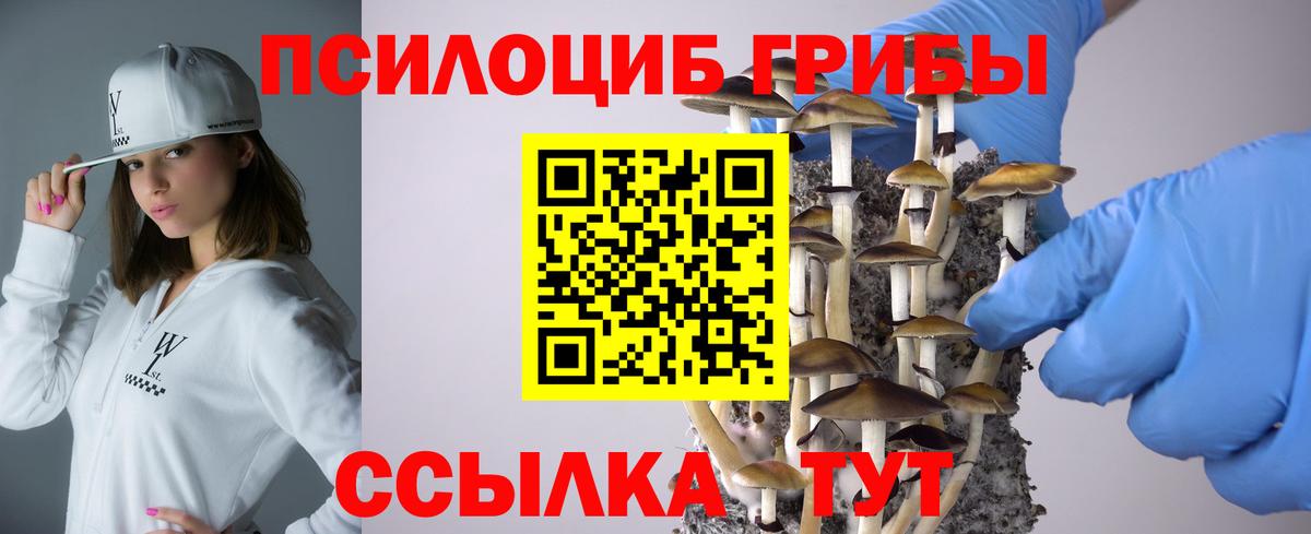 Ртищево  где купить наркоту  Вход с VPN  Галлюциногенные грибы GOLDEN TEACHER 